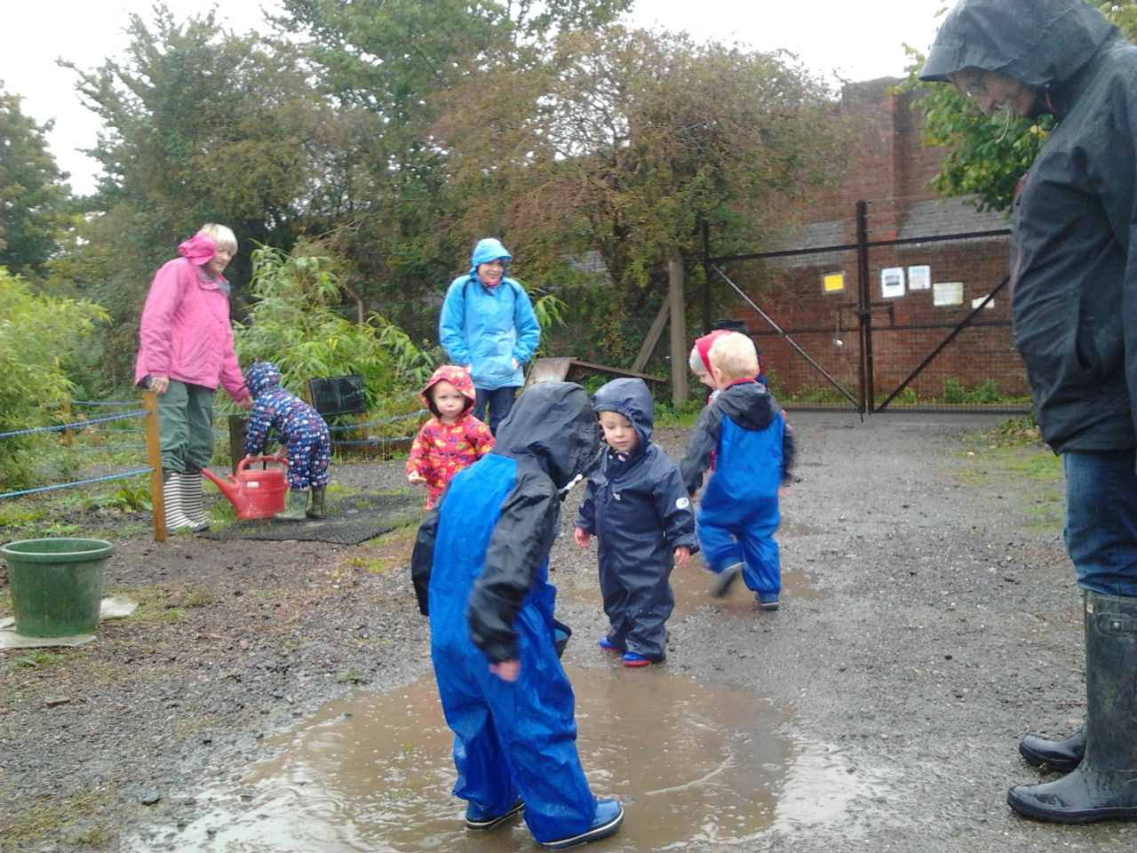Golden Buds Toddlers’ Group Golden Hill Community Allotment
